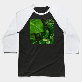 Lush Green Dewy Leaves Baseball T-Shirt